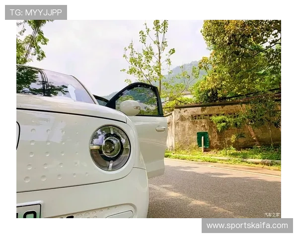 凯发官方在线注册流程中的注意事项及避免常见错误的方法