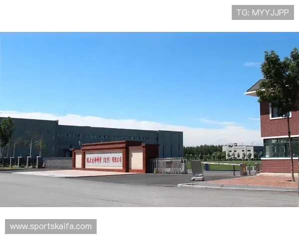 深入分析凯发集团的企业简介与历史沿革:行业领先的成功之路 深入分析凯发集团的企业简介与历史沿革:行业领先的成功之路